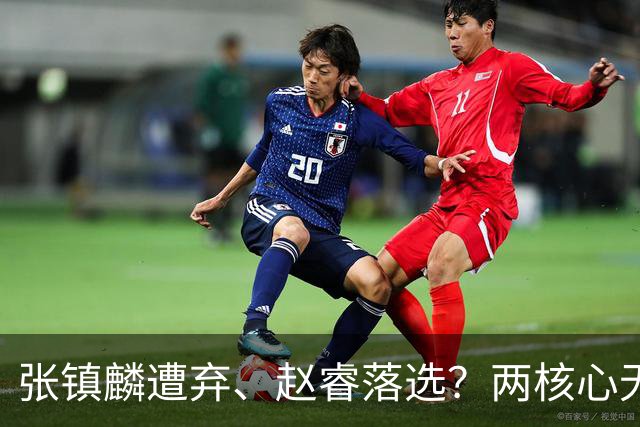 张镇麟遭弃、赵睿落选？两核心无缘国家队，中国男篮大换血为哪般
