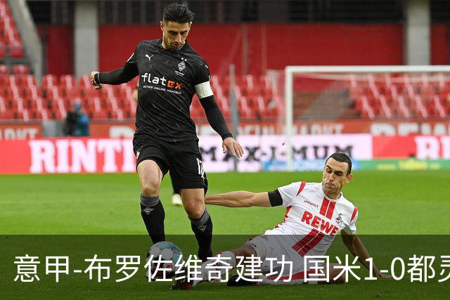 意甲-布罗佐维奇建功 国米1-0都灵获联赛第3名
