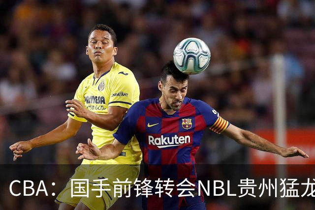 CBA：国手前锋转会NBL贵州猛龙，王少杰前往江苏男篮，吉林大将签约宁波，胡金秋预计留队